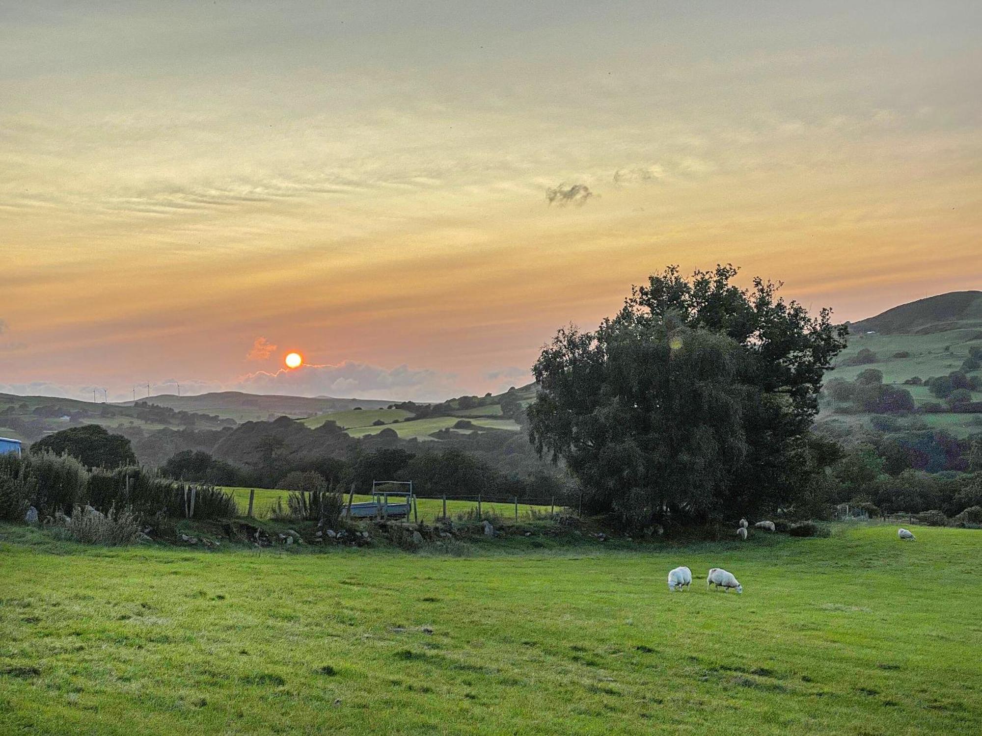 Fedwr Gog Cottage Llangwm  Buitenkant foto